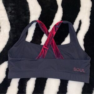 Soul x Soulcycle Black Sports Bra size XL Red Velvet Straps